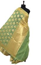 Handwoven Cotton Chanderi Saree in Sage Green and Muted Gold