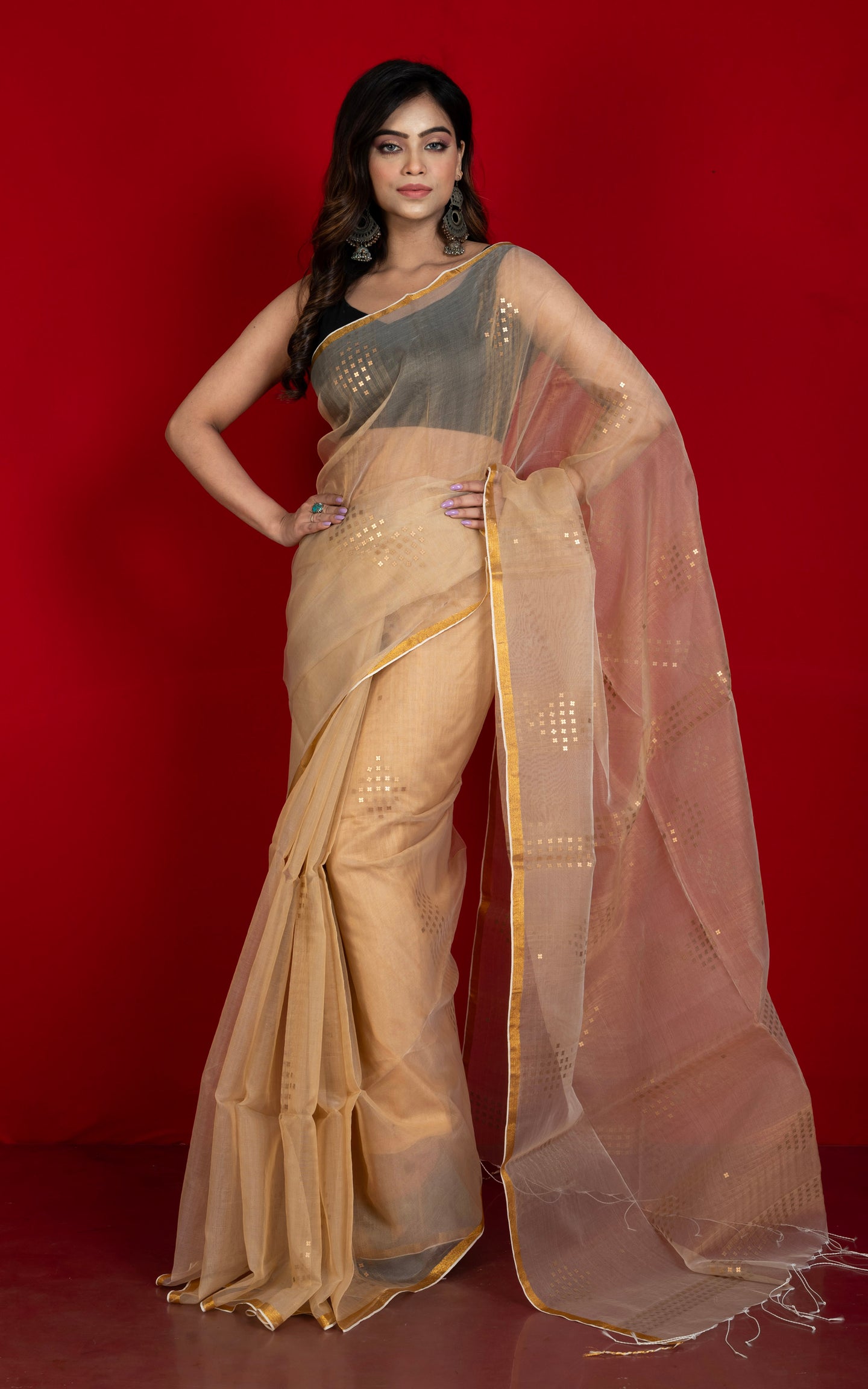 Designer Sitara Work Inch Border Resham Silk Saree in Beige and Golden